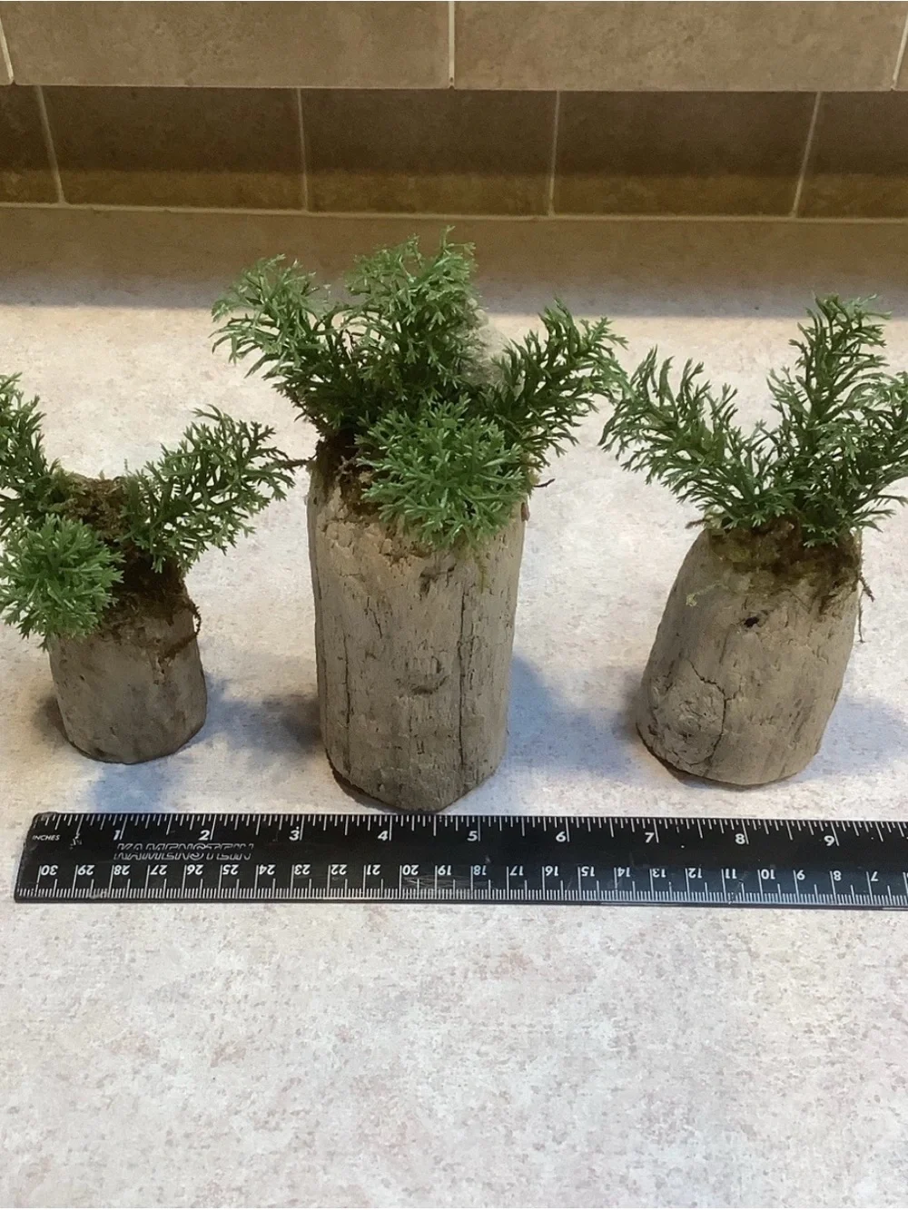 Driftwood Art, Driftwood Faux Plants , Driftwood Faux Greenery Coastal Art